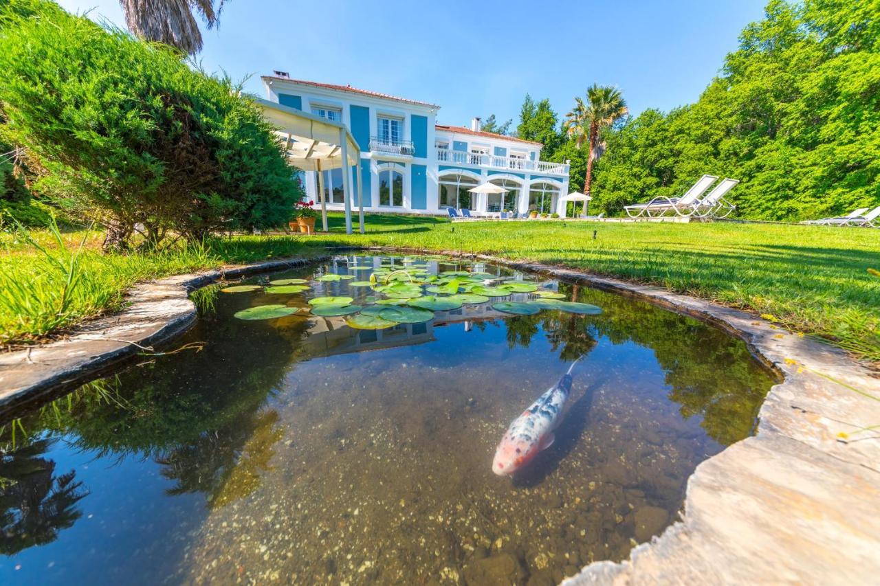 Villa Zarik 말마리스 외부 사진